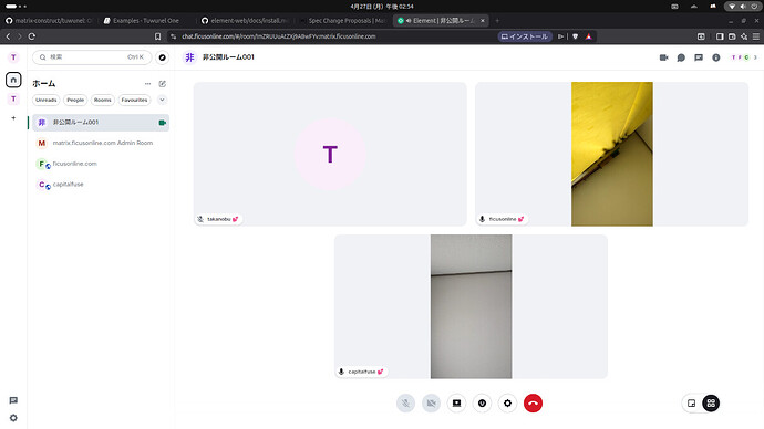 element-web-video-chat
